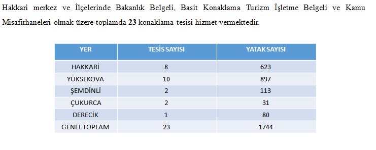 Konaklama Tesis Sayıları.jpg